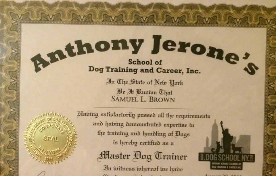 Canine Masters's Photo