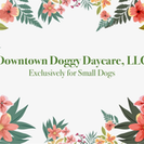 Downtown Doggy Daycare, LLC