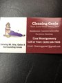 Cleaning Genie