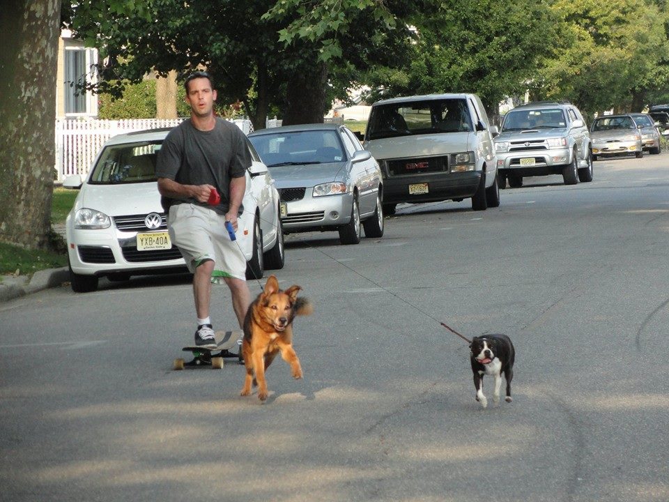 Barks & Recreation Family Dog Services's Photo