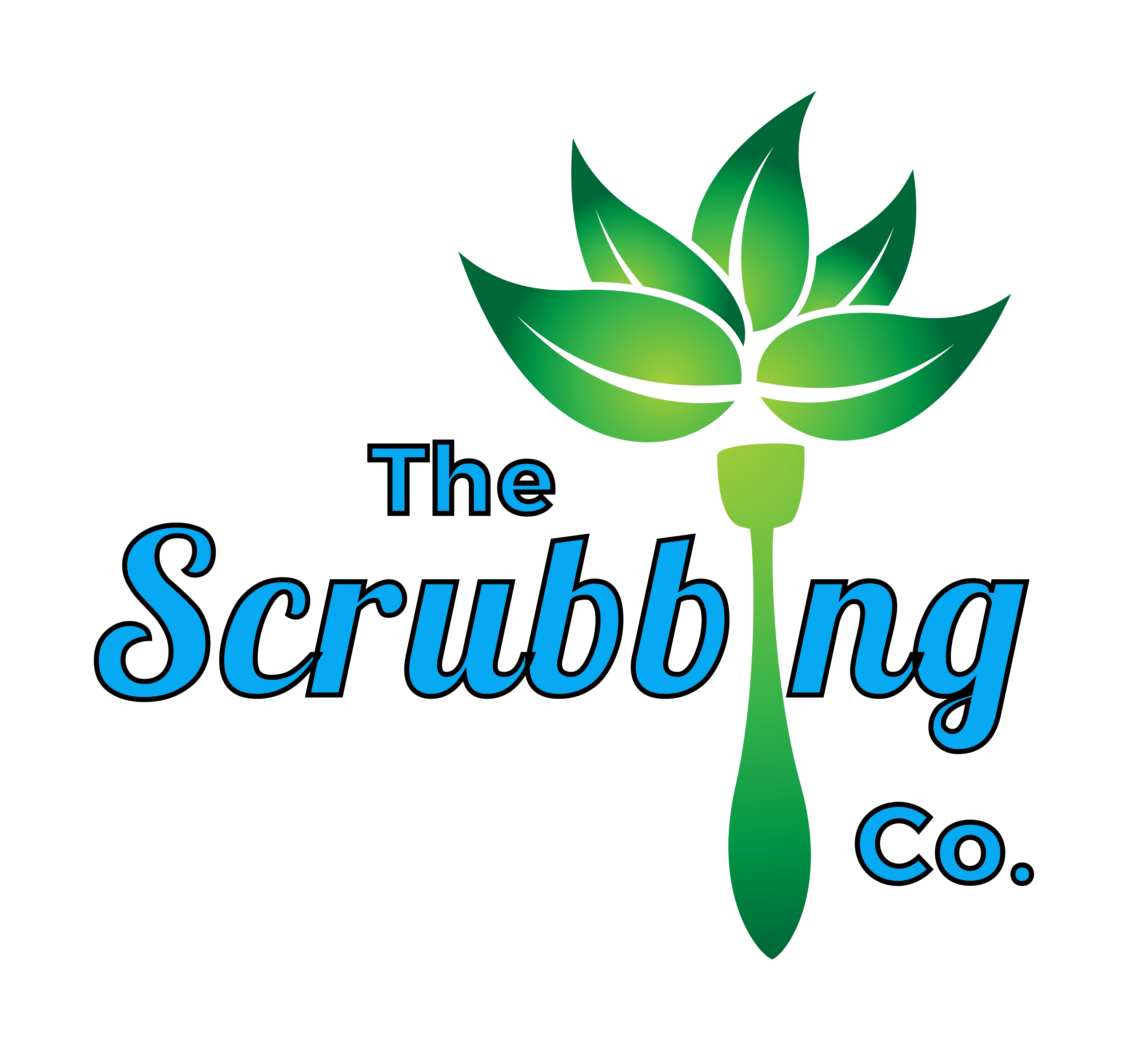 The Scrubbing Company's Photo