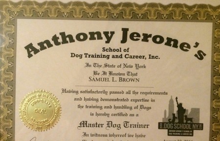 Canine Masters