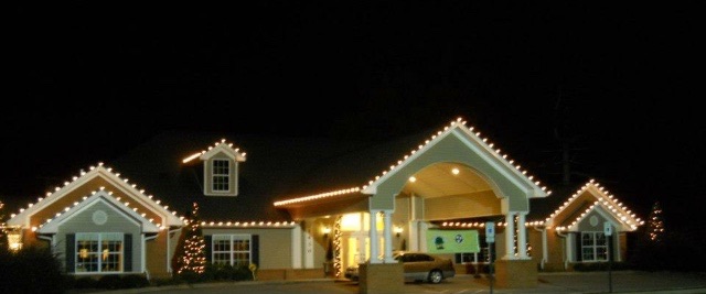 Tree of Knowledge Learning Center's Photo