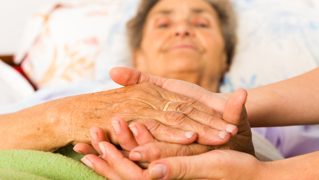 Angel Hands Residential & Staffing LLC's Photo