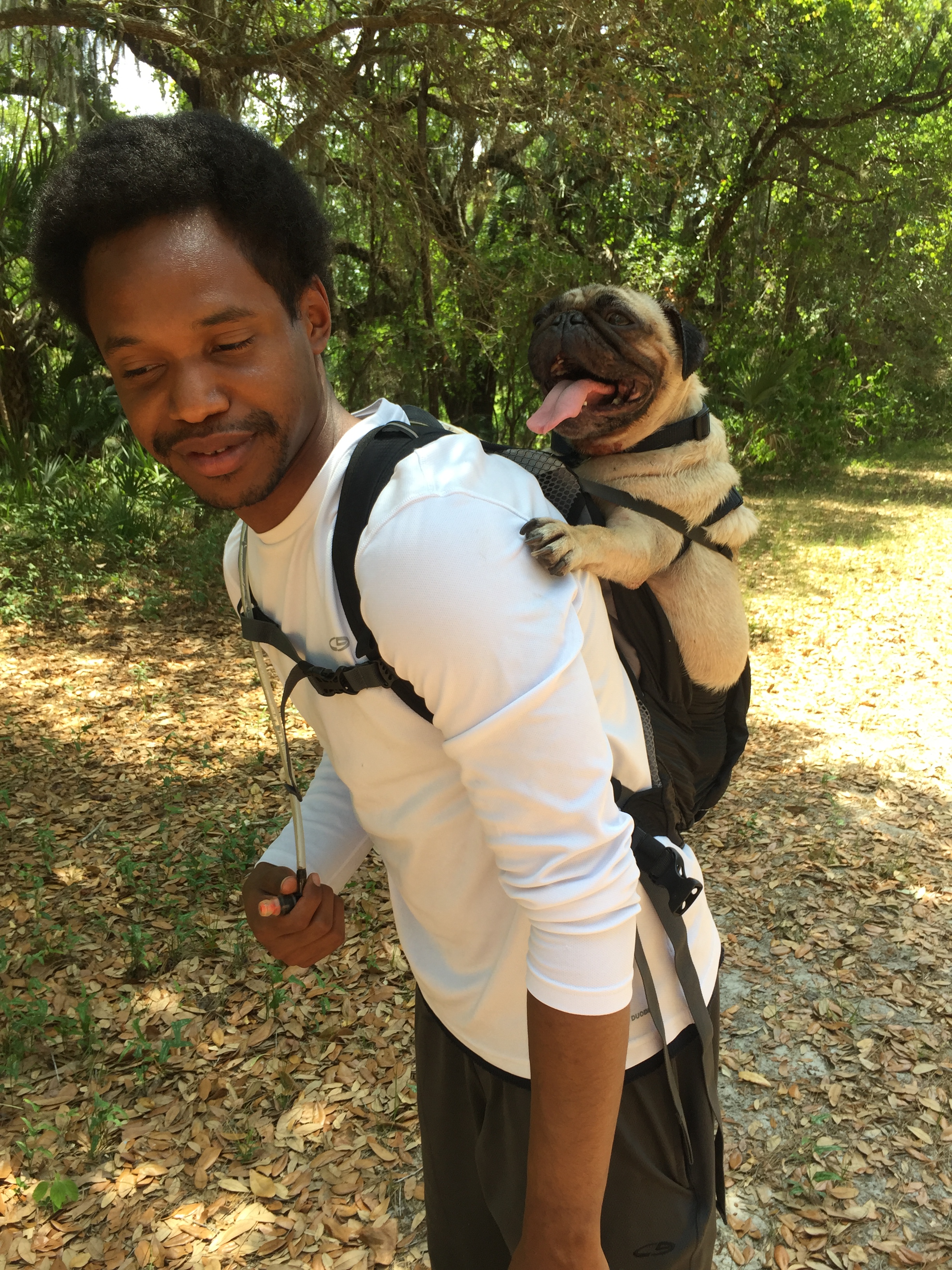 Safe Pet Kingdom's Photo