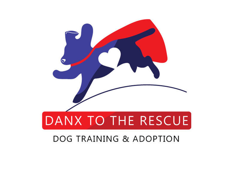 DANX To The Rescue's Photo