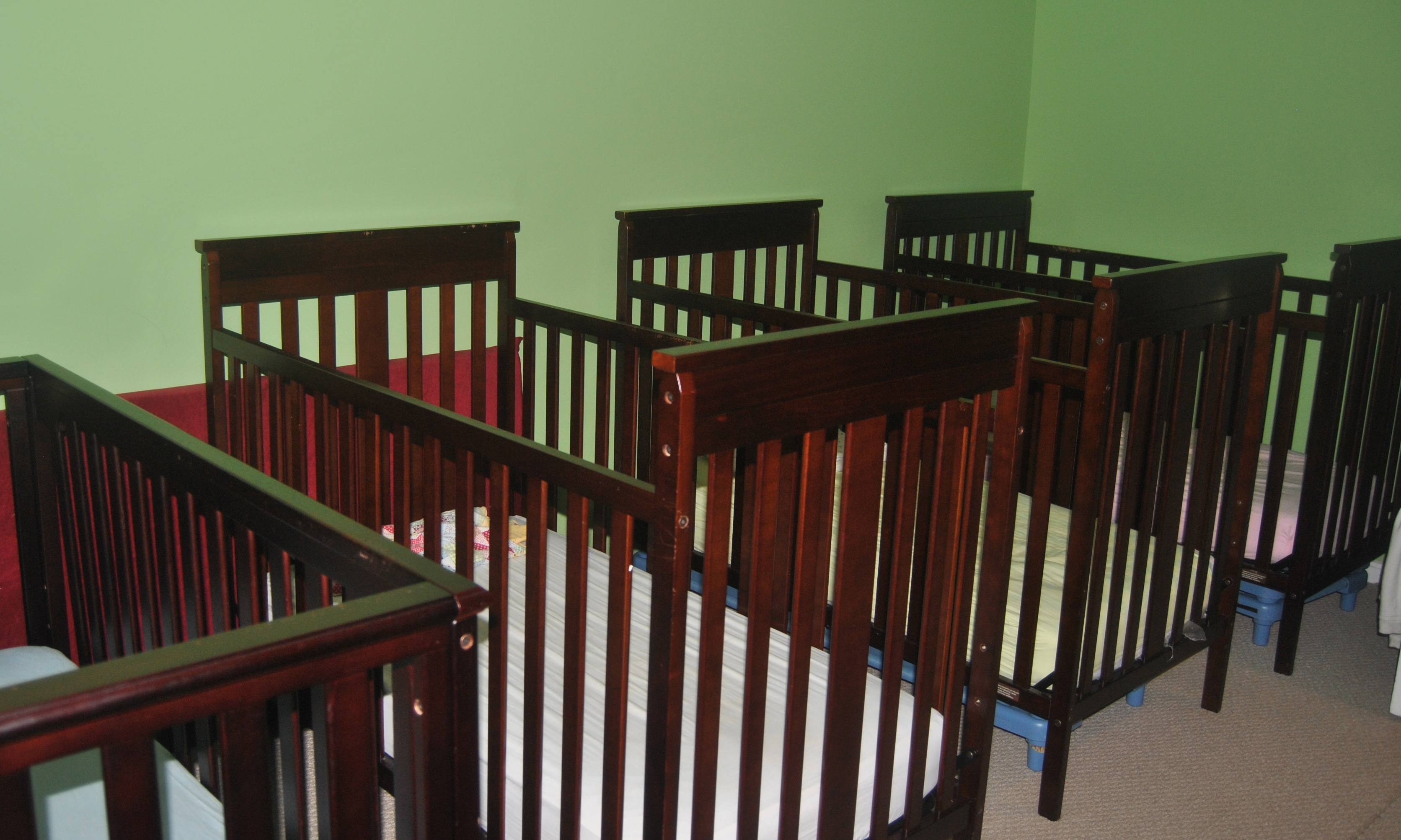 Sweet Little Cub Daycare's Photo