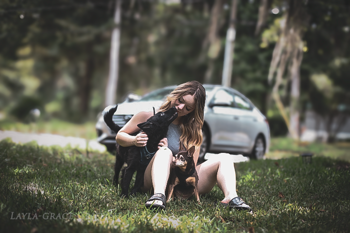 Blazingbarks llc's Photo