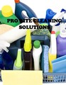 Pro Rite Cleaning Solutions