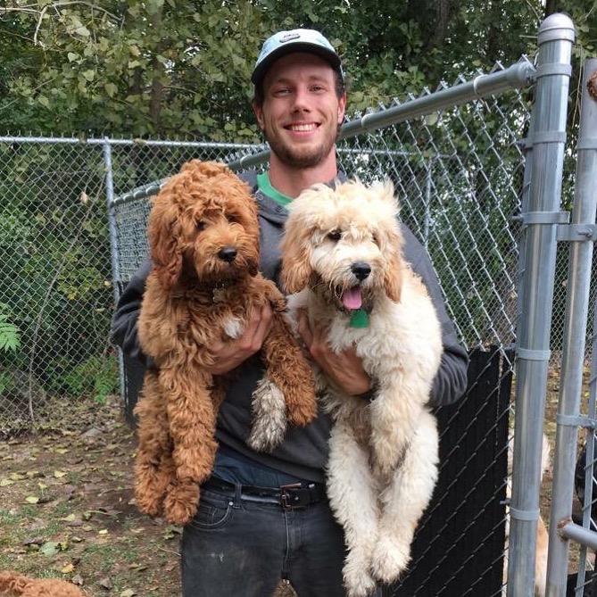 Dogs for Days, LLC's Photo