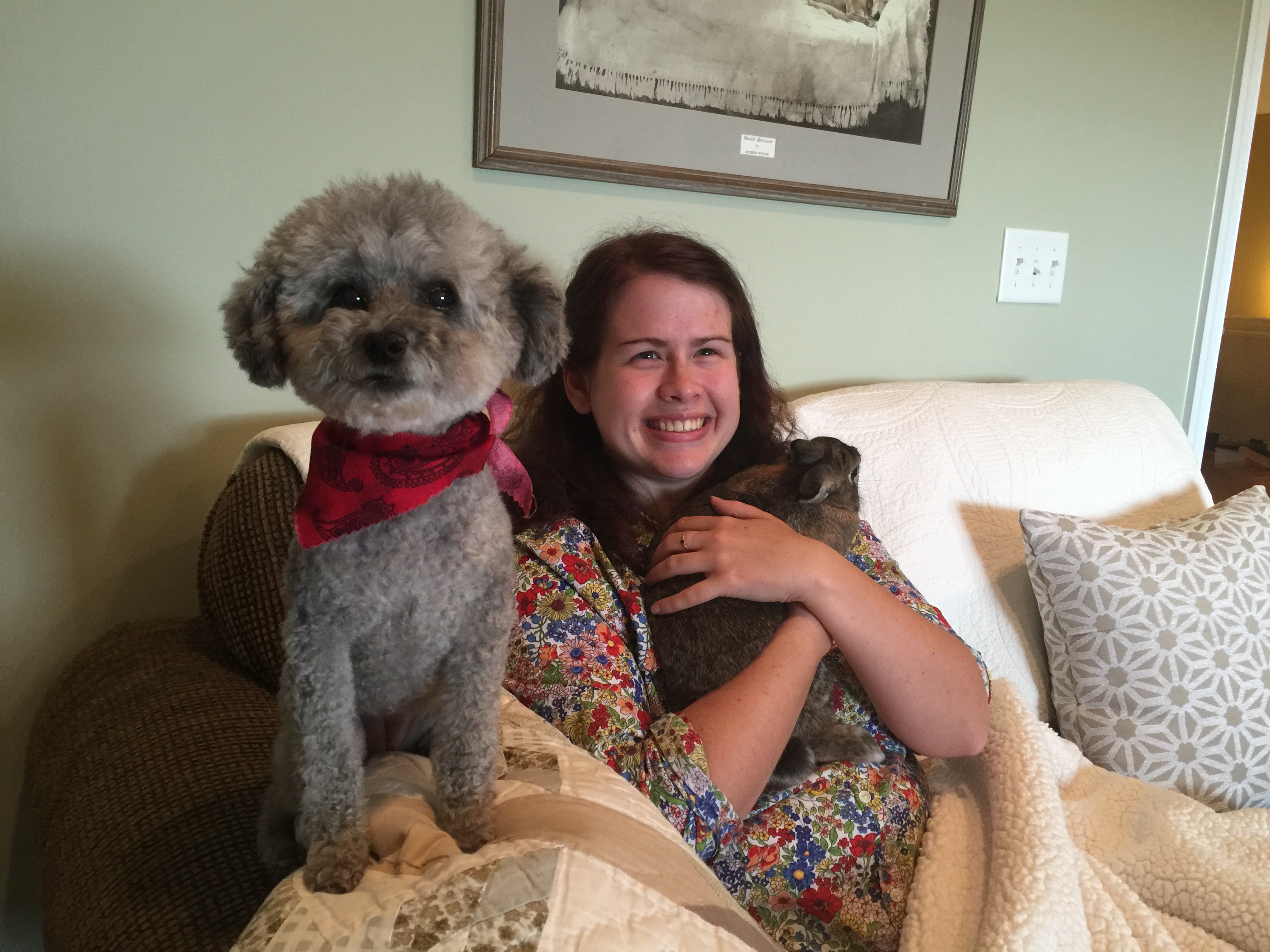 Comfy And Cozy Home Services's Photo