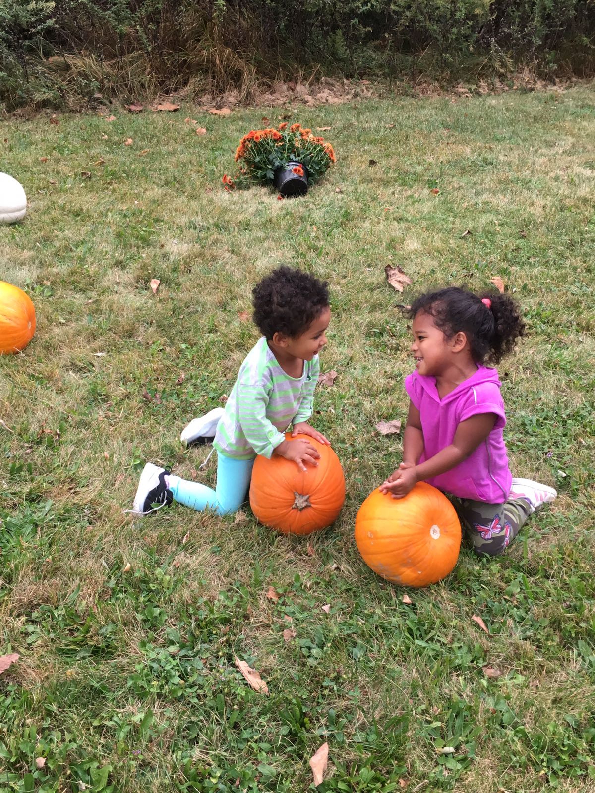 Little Explorers Early Learning Academy's Photo