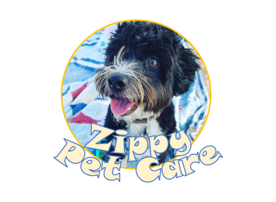 Zippy Pet Care's Photo