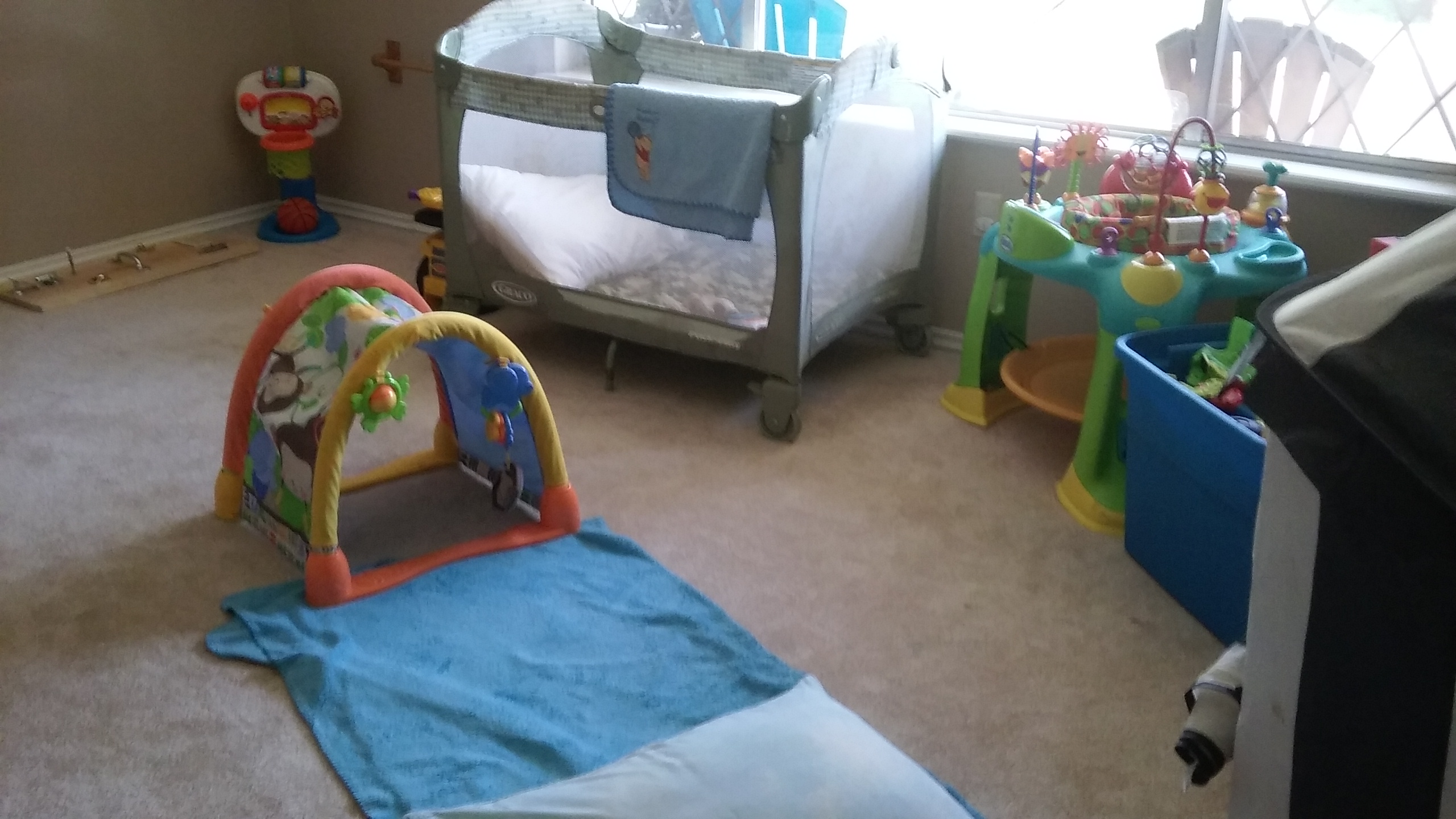 Miss Abby's House's Photo