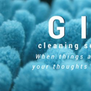 GII Cleaning Service