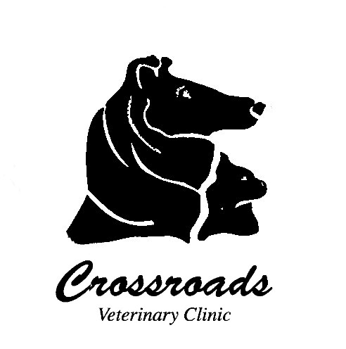 CROSSROADS VETERINARY CLINIC SC's Photo