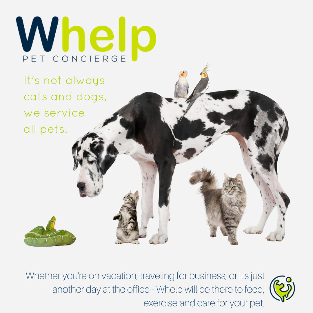 WHELP - Pet Concierge's Photo