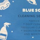 Blue Soap Cleaning Services