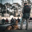 Ridgeside K9 Carolinas Dog Training