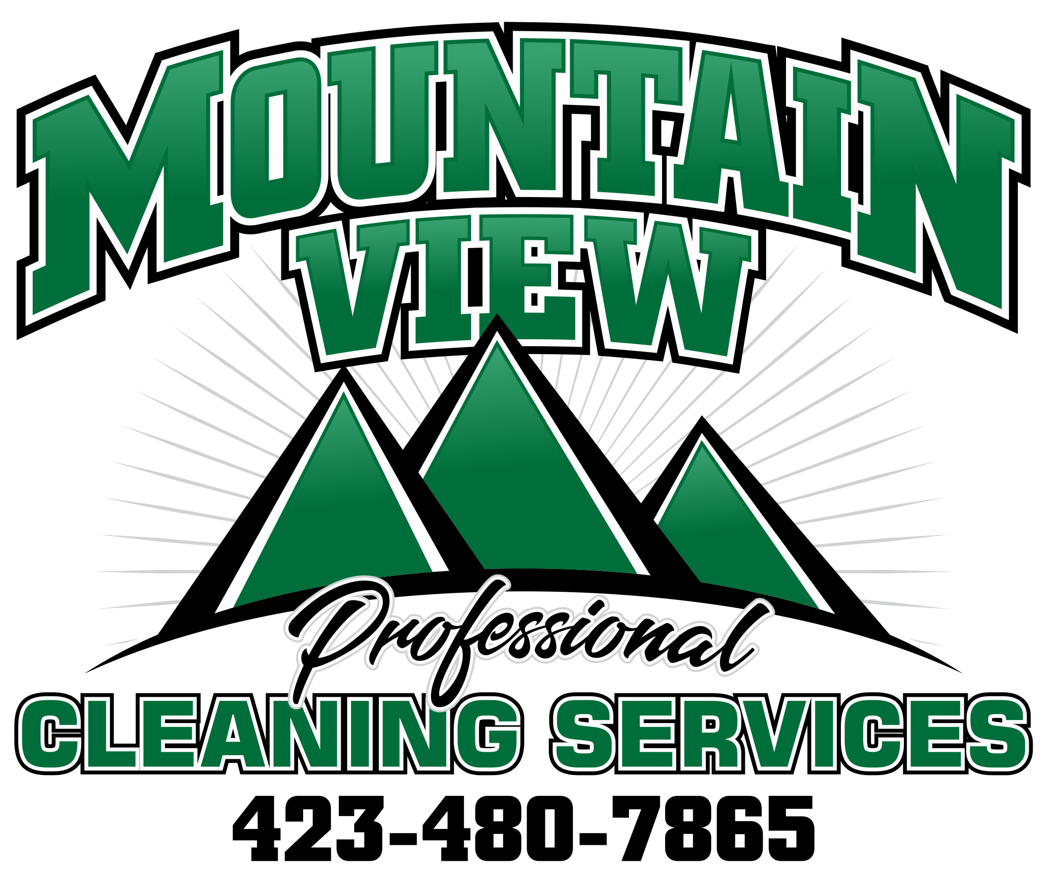 Mountain View Professional Cleaning Services's Photo