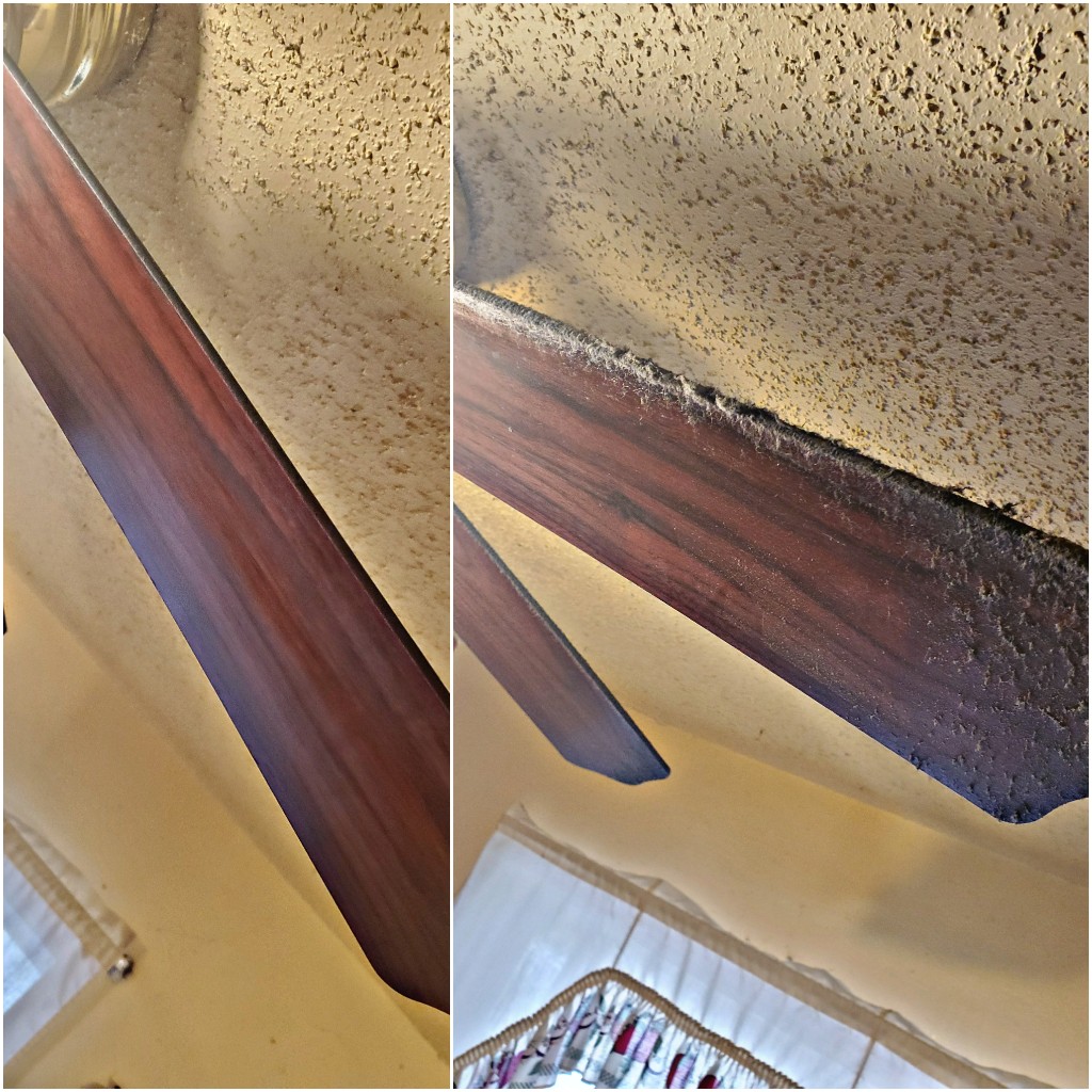 Michelle's magic touch cleaning's Photo