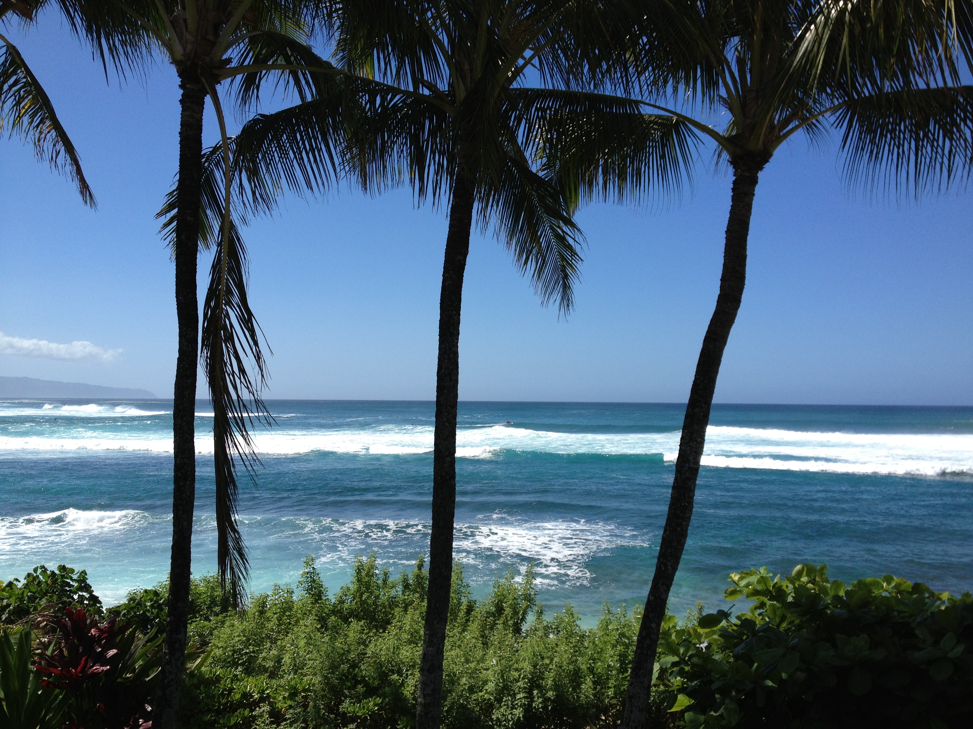 Aloha Cleaning Services's Photo
