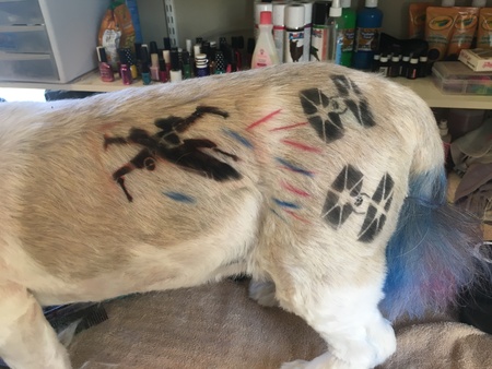 4 Paws Pet Salon