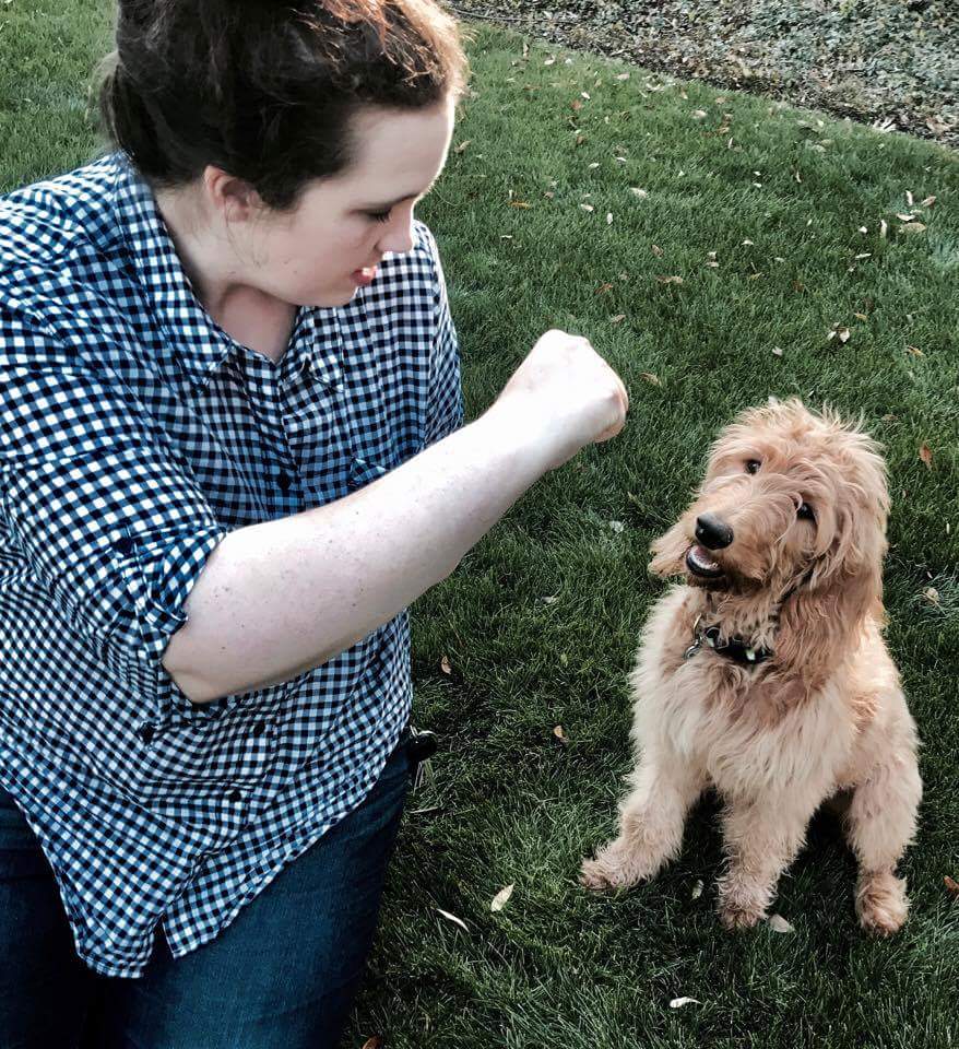 Power to the PawZ Pet Services & Education's Photo