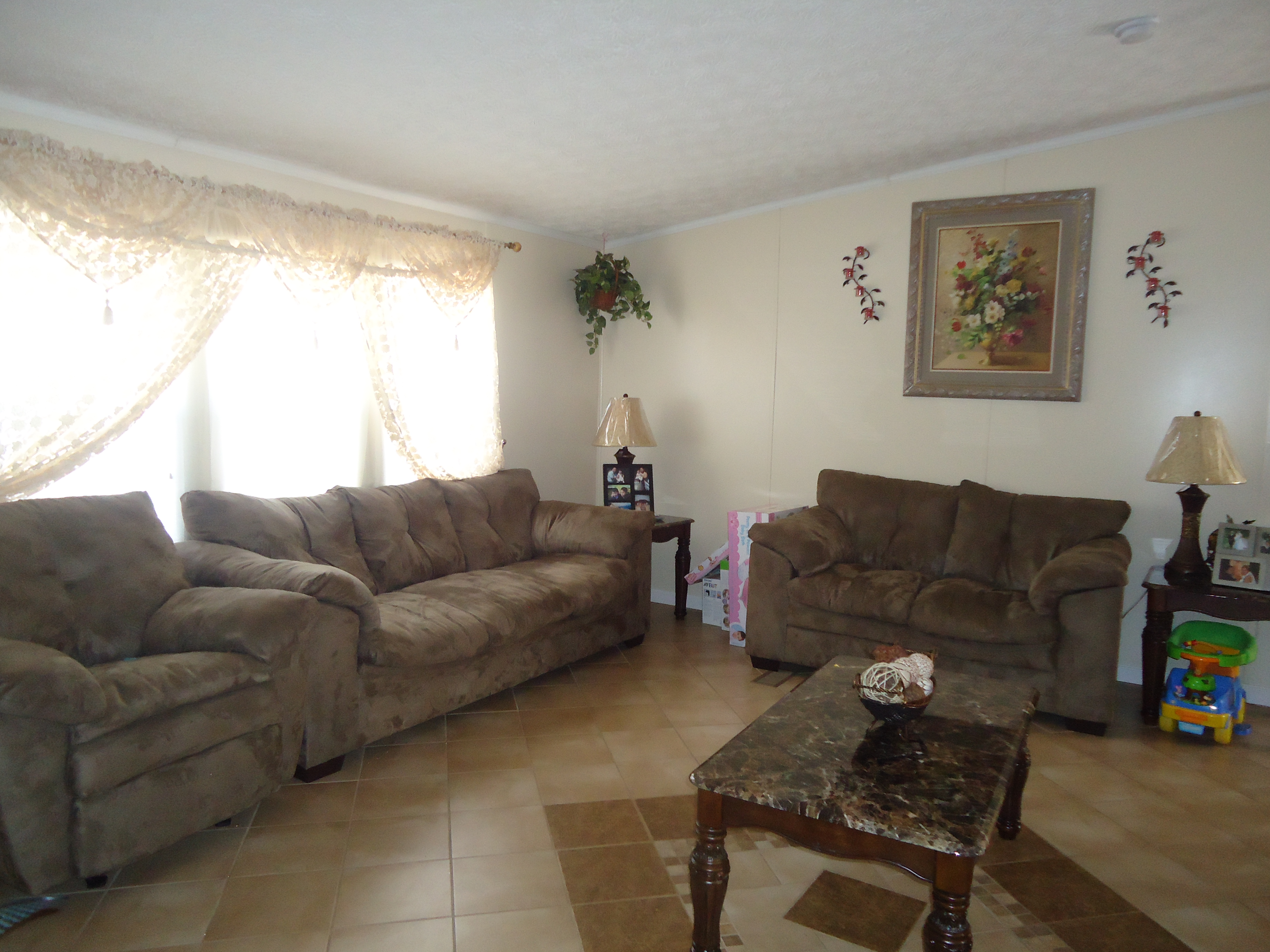 Helping Hands of NC's Photo