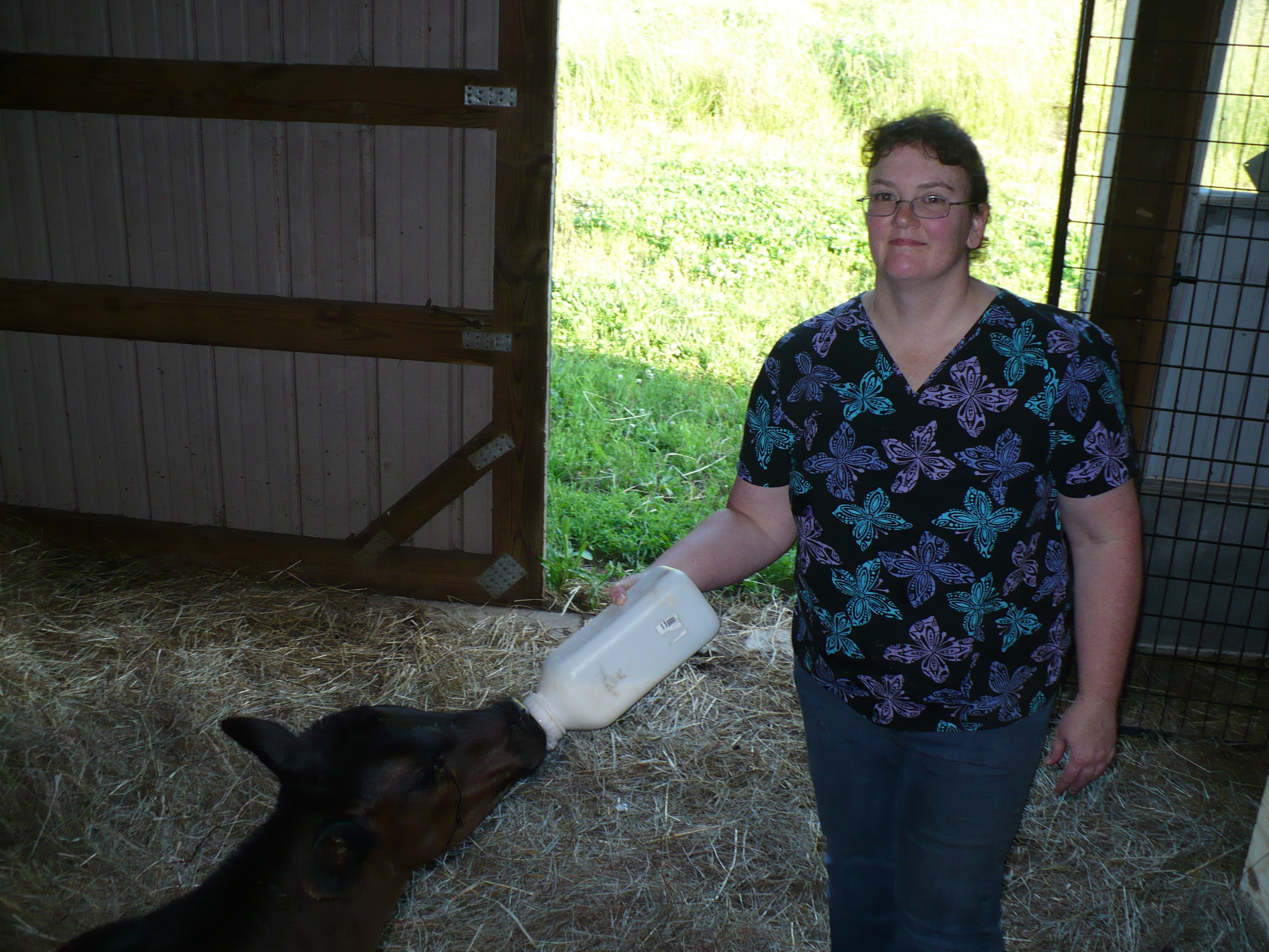 Prime Pet Care's Photo