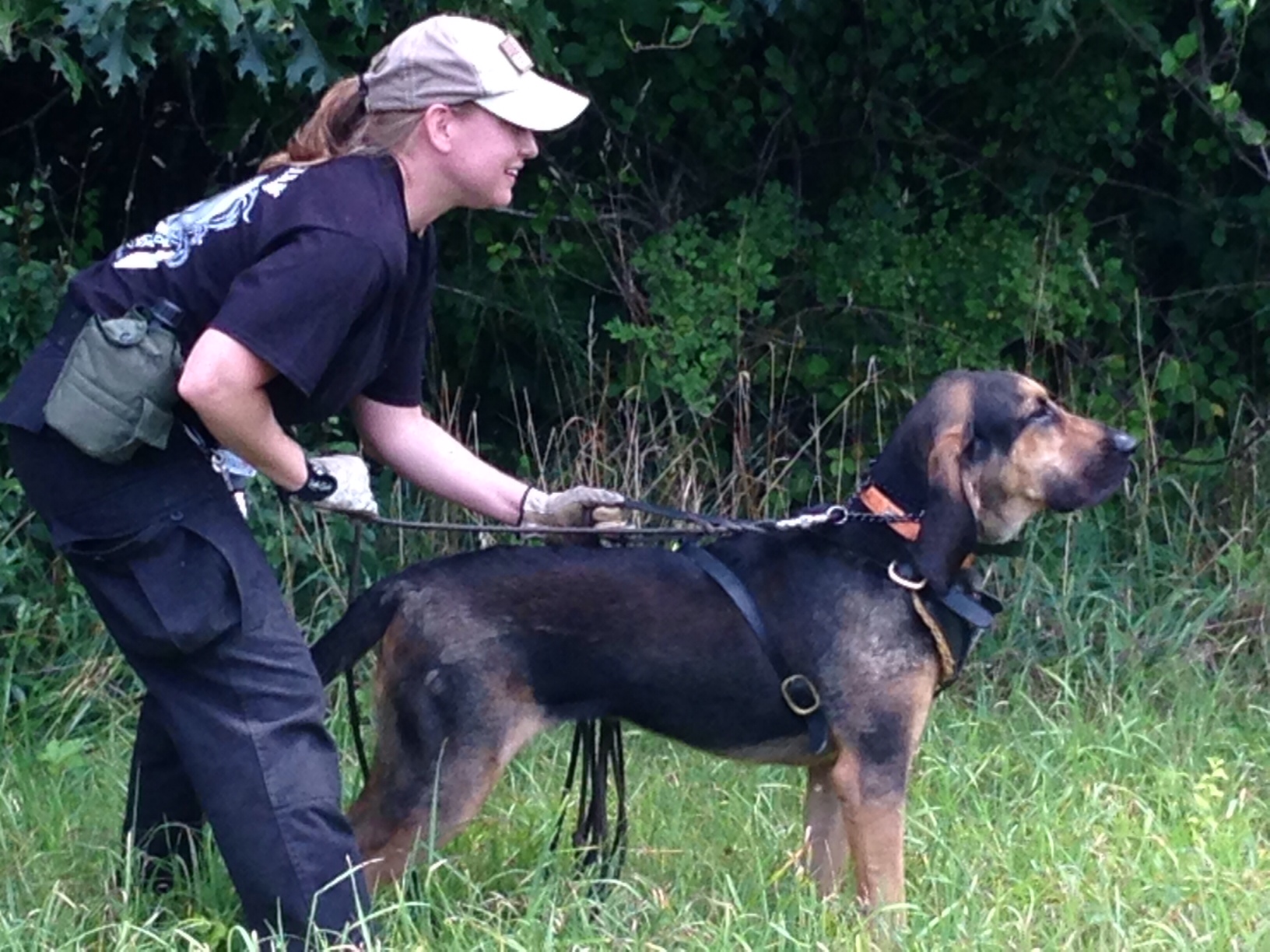 Blue Rose Animal Training and Behavior LLC's Photo