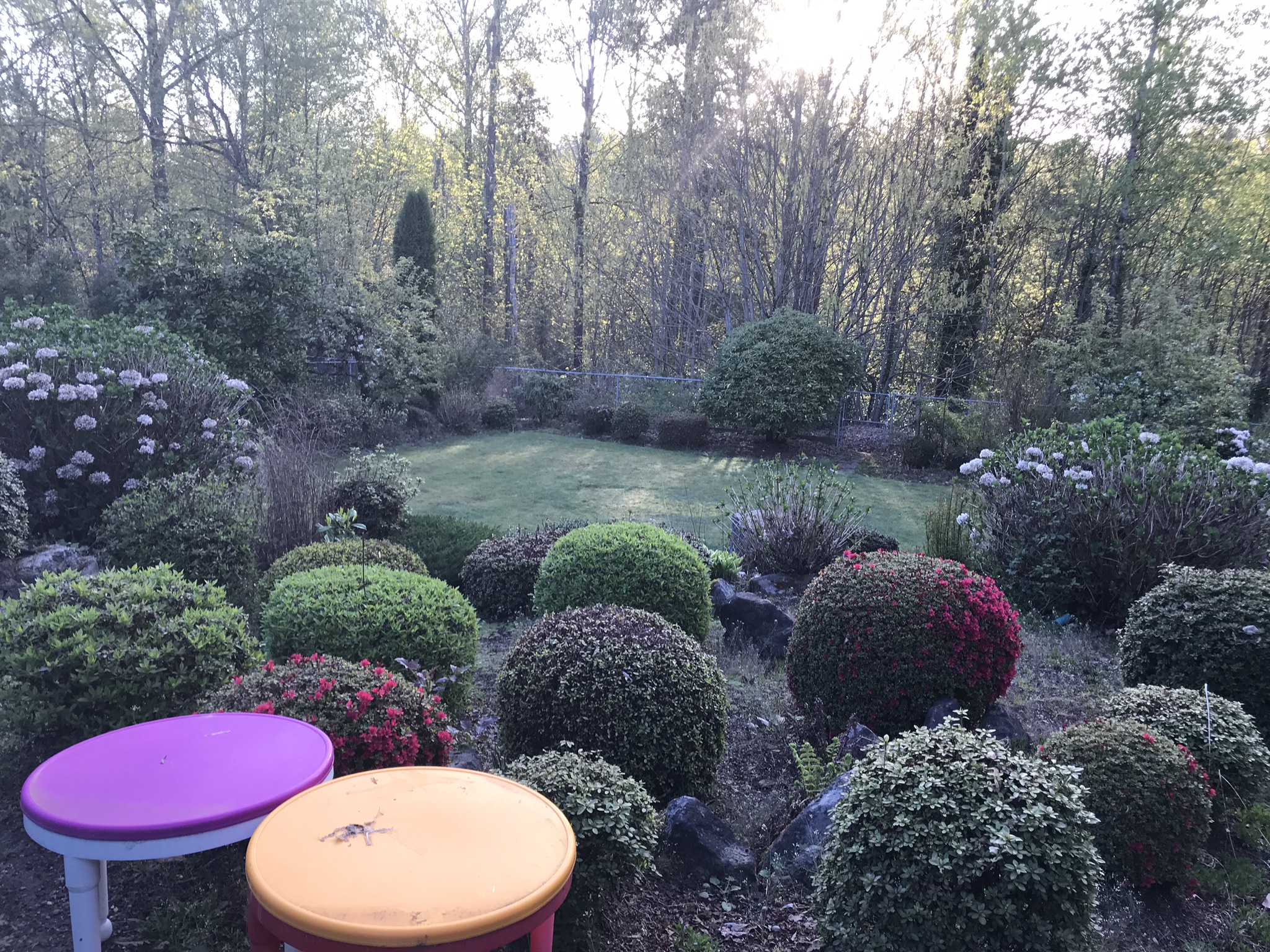 24 Hour Childcare ( By Text Message Appointment 9 Days In Advance Please) We're Very Busy!'s Photo