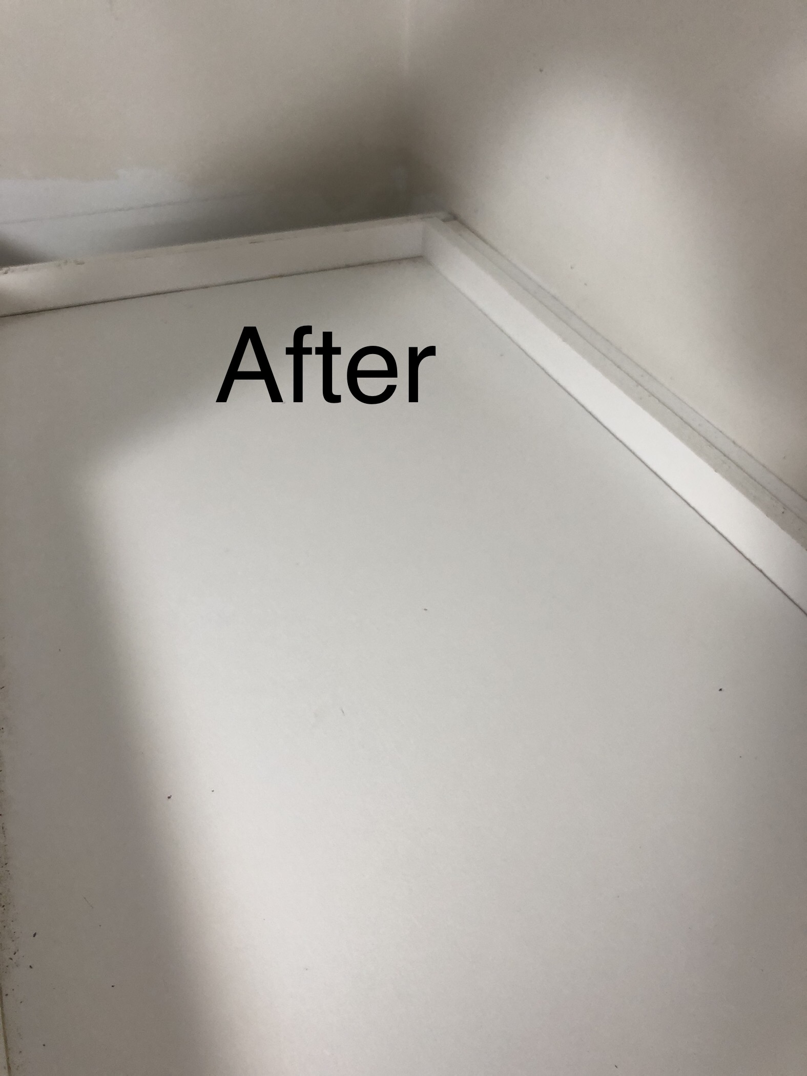 Ivy Glove Cleaning Services's Photo