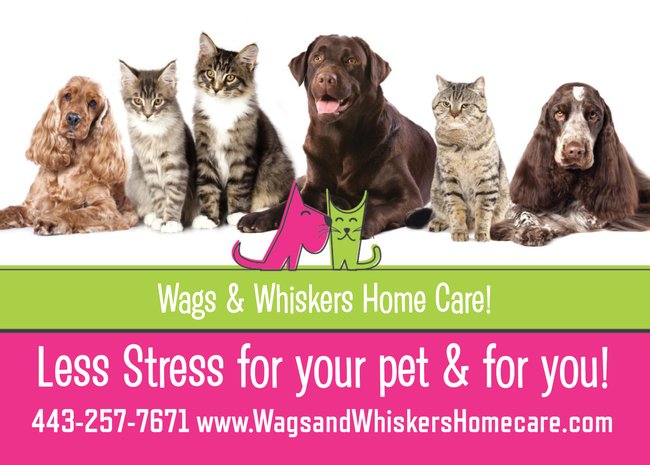 Wags & Whisker's Home Care's Photo