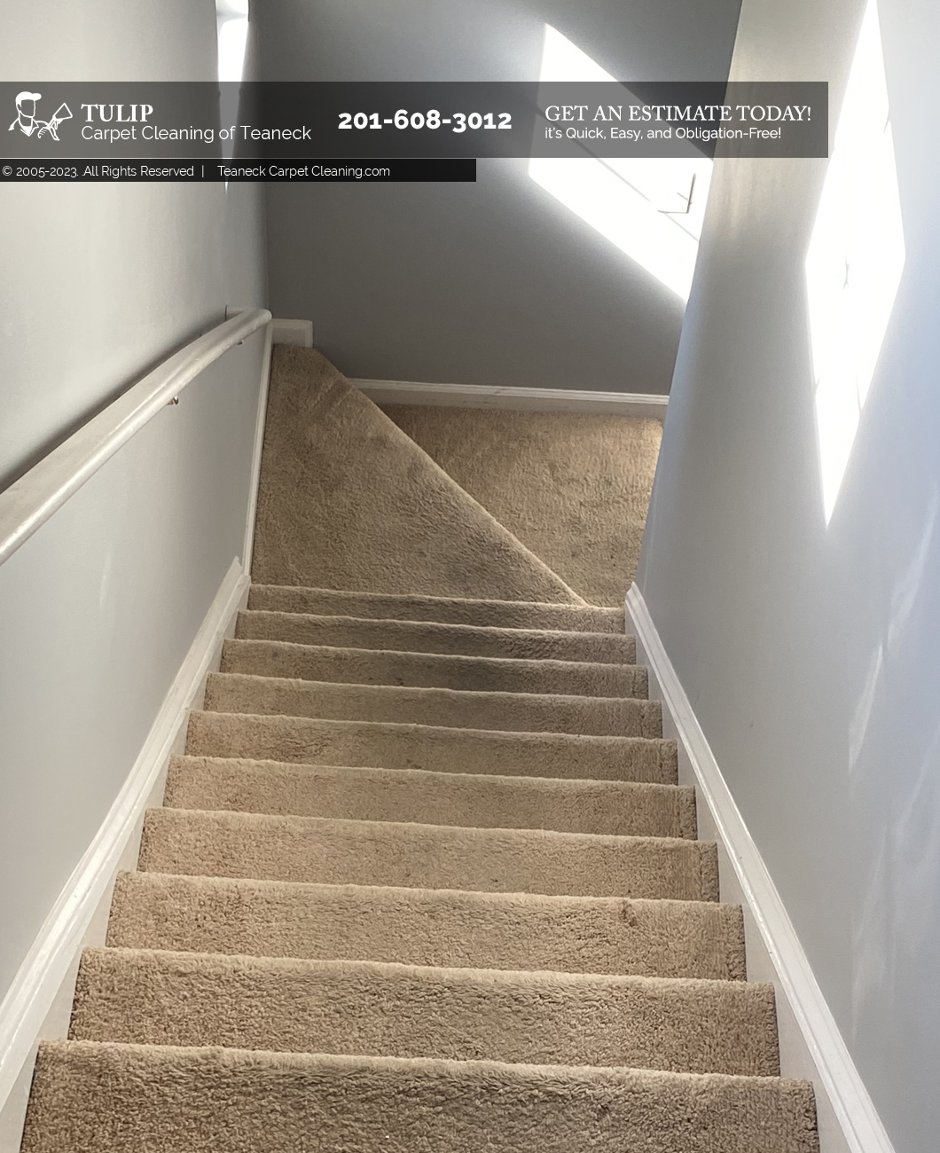 Tulip Carpet Cleaning of Teaneck's Photo