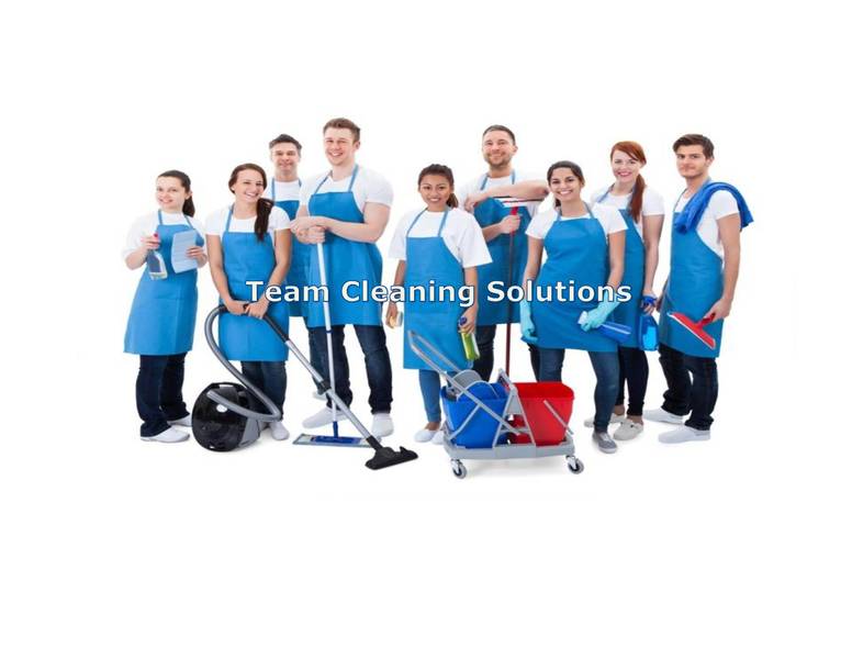 Team Cleaning Solutions Logo