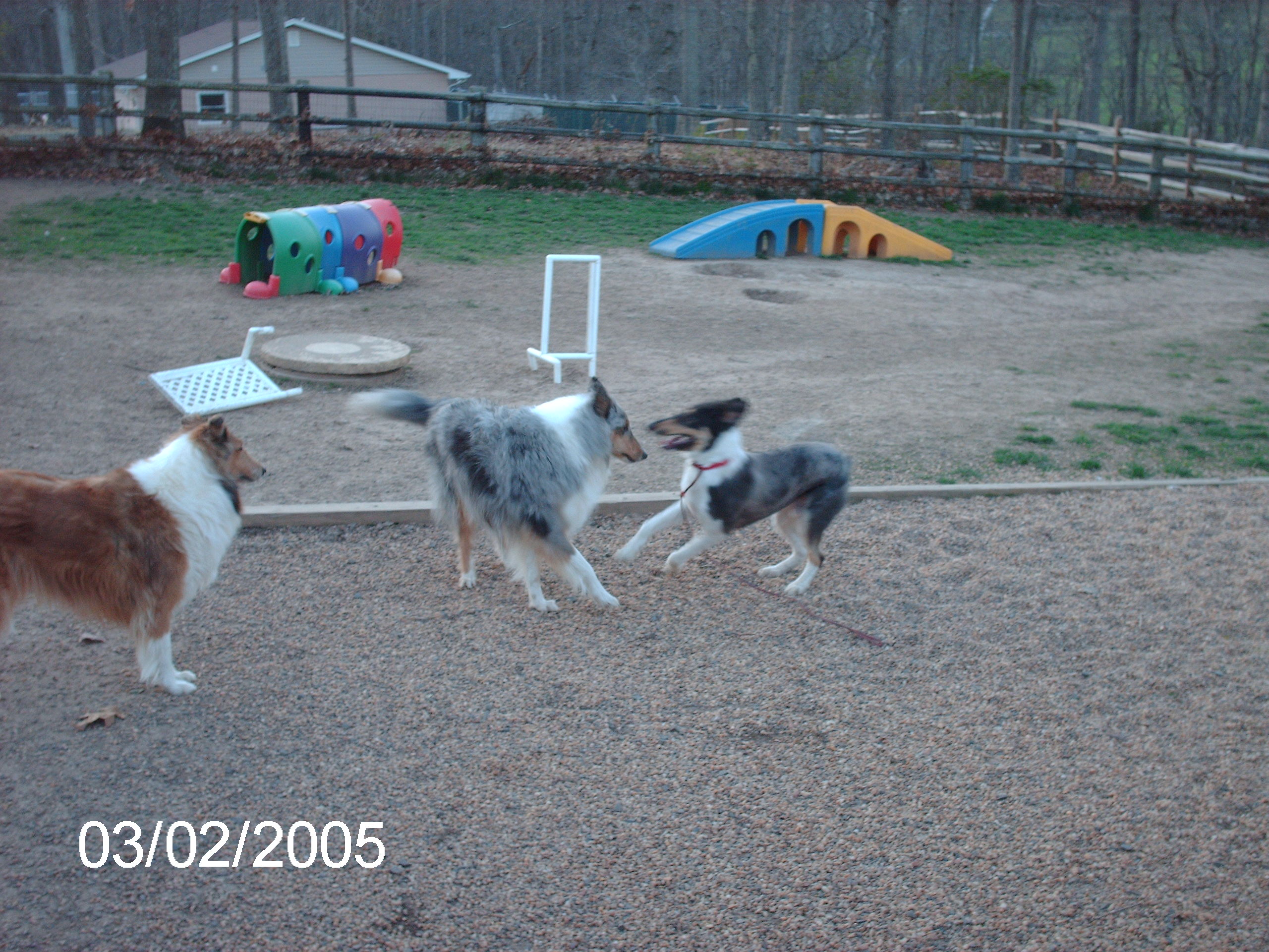 Creekside Kennels, Inc.'s Photo