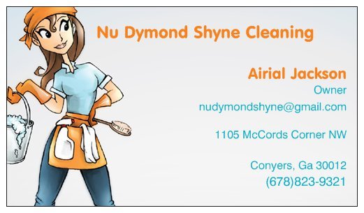 Nu Dymond Shyne Cleaning Logo