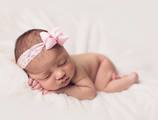 English Rose Nannies's Photo