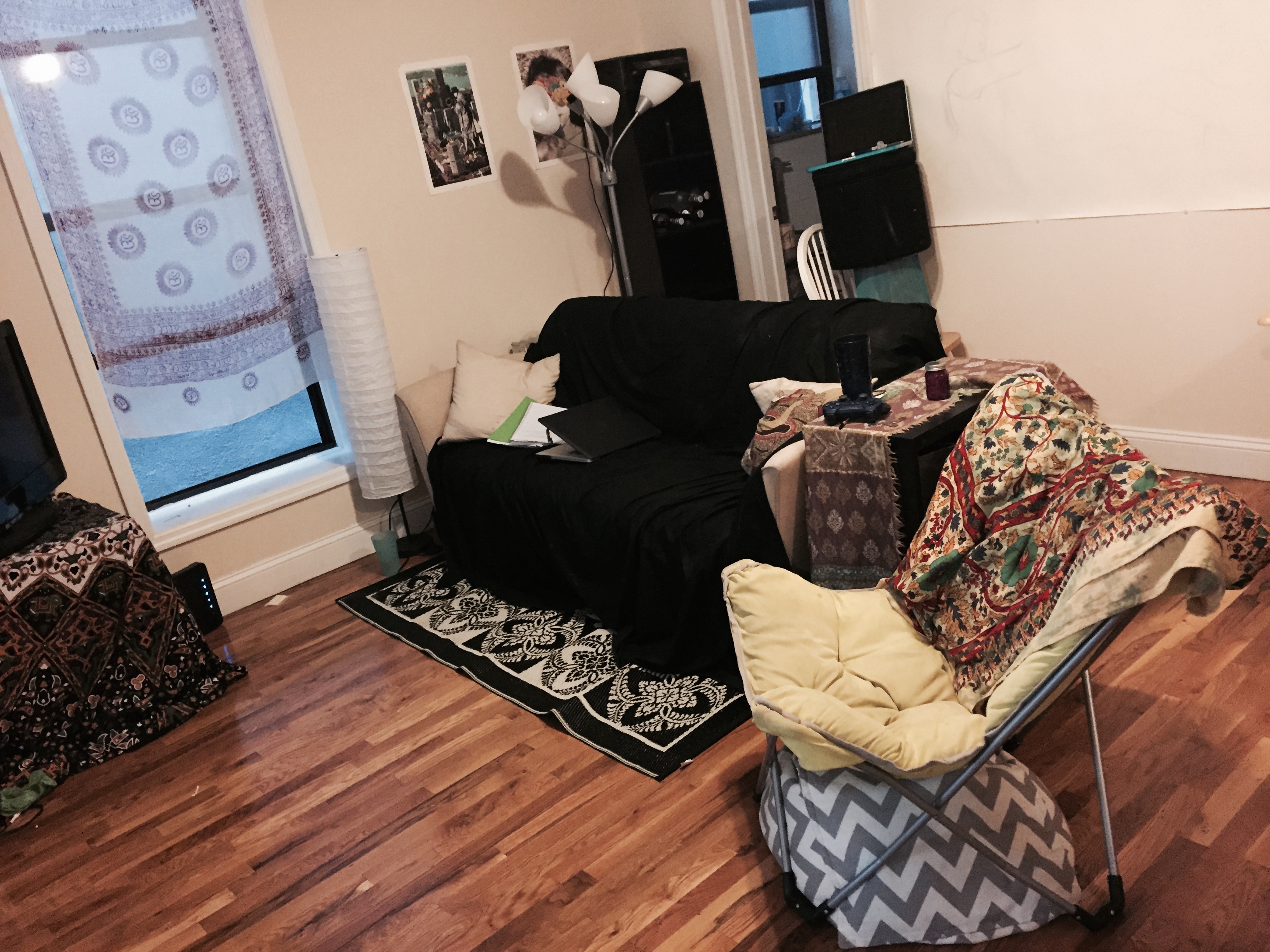 Cozy Caring In Home Pet Boarding's Photo