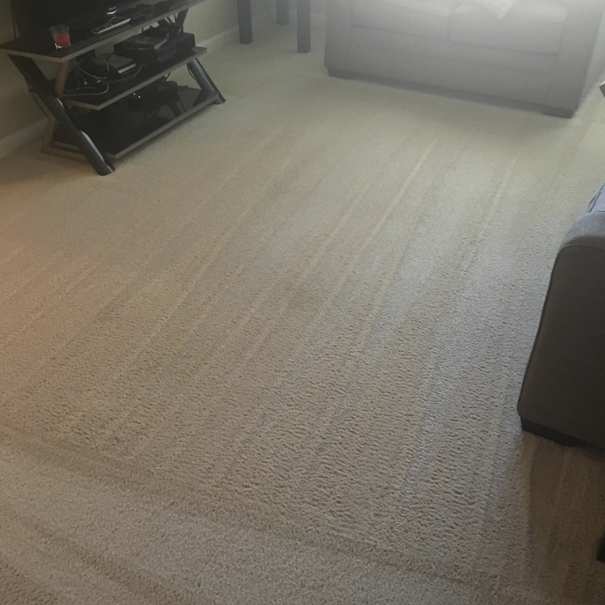 Nice Vision Cleaning Services's Photo