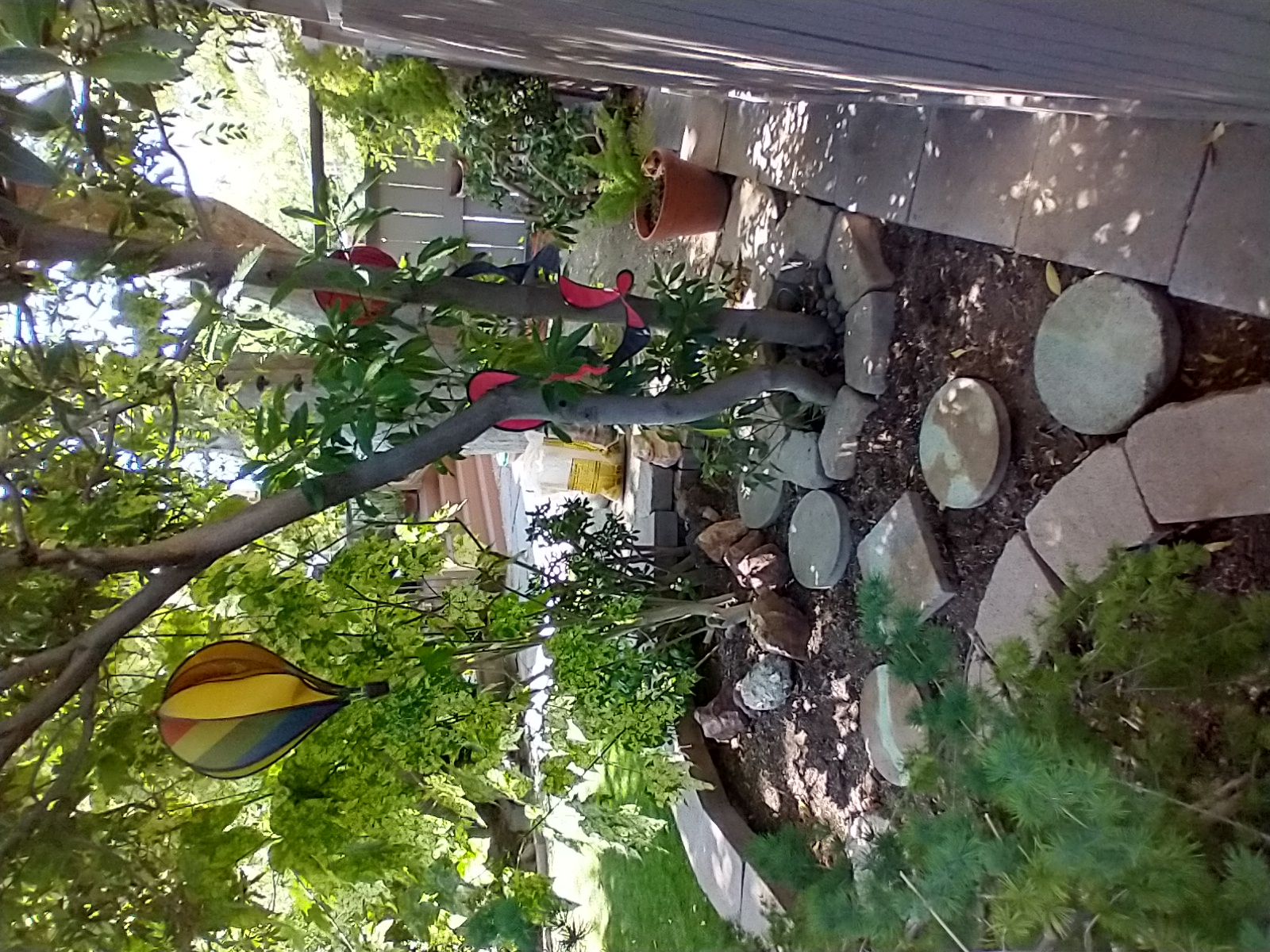 LittleLiving Nature School's Photo