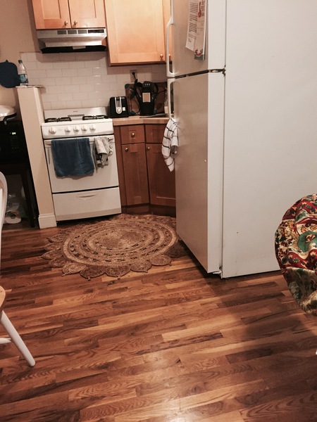 Cozy Caring In Home Pet Boarding