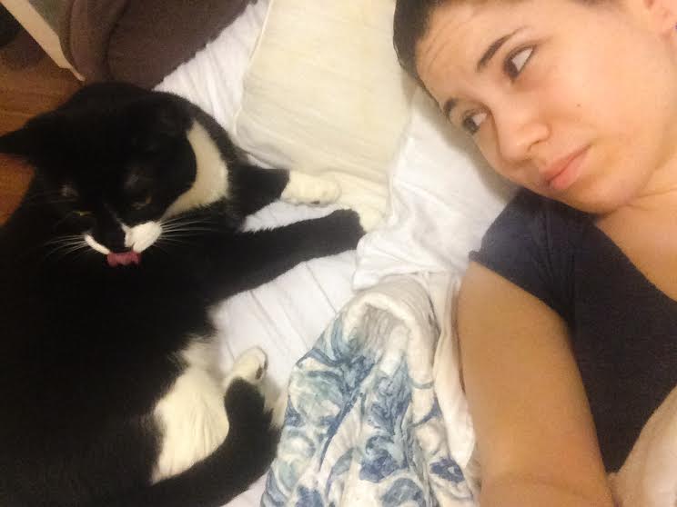 Tomcat Sitters's Photo