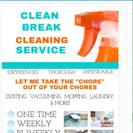 Clean Break Cleaning Services