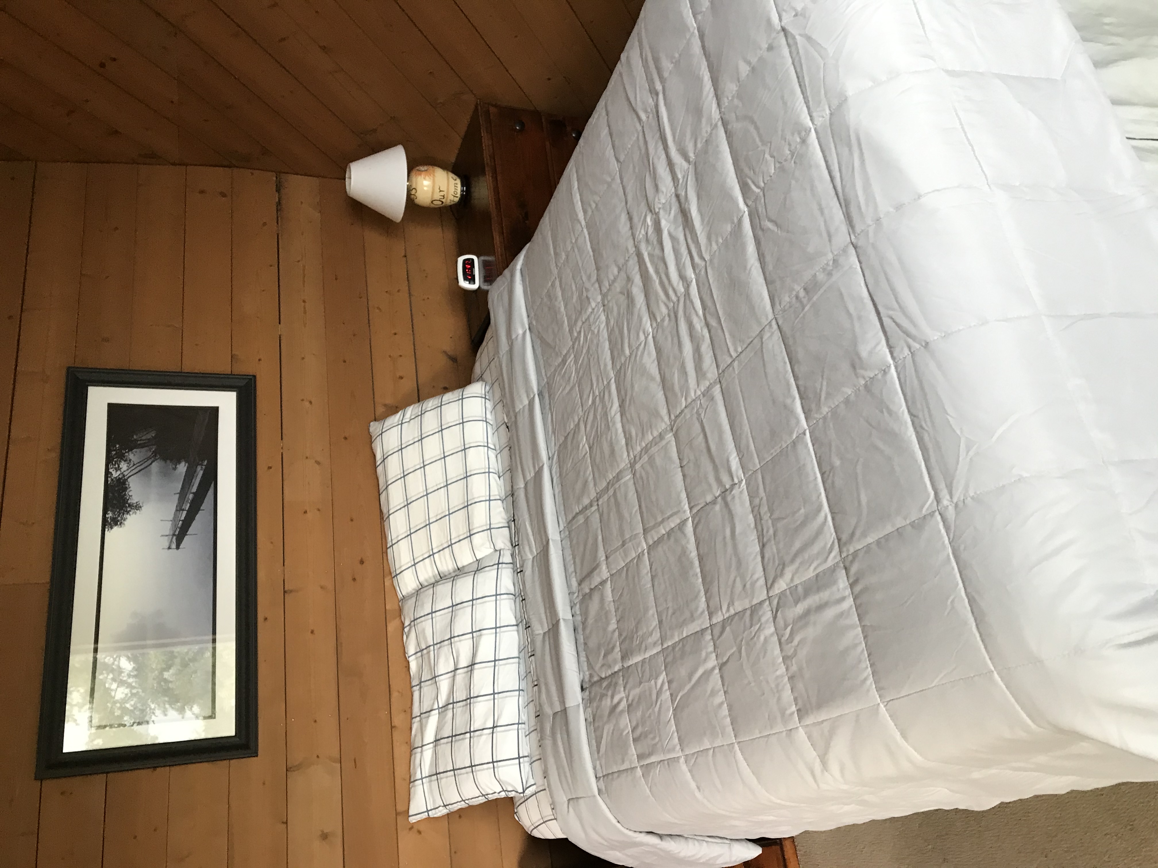 Greener Cleaner TN's Photo