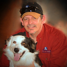 The Language of Canines, LLC Dog Training