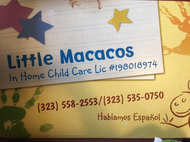 Little Macacos's Photo