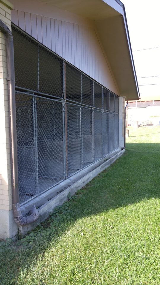 Woof! Meow! Boarding's Photo