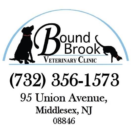 Bound Brook Veterinary Clinic's Photo